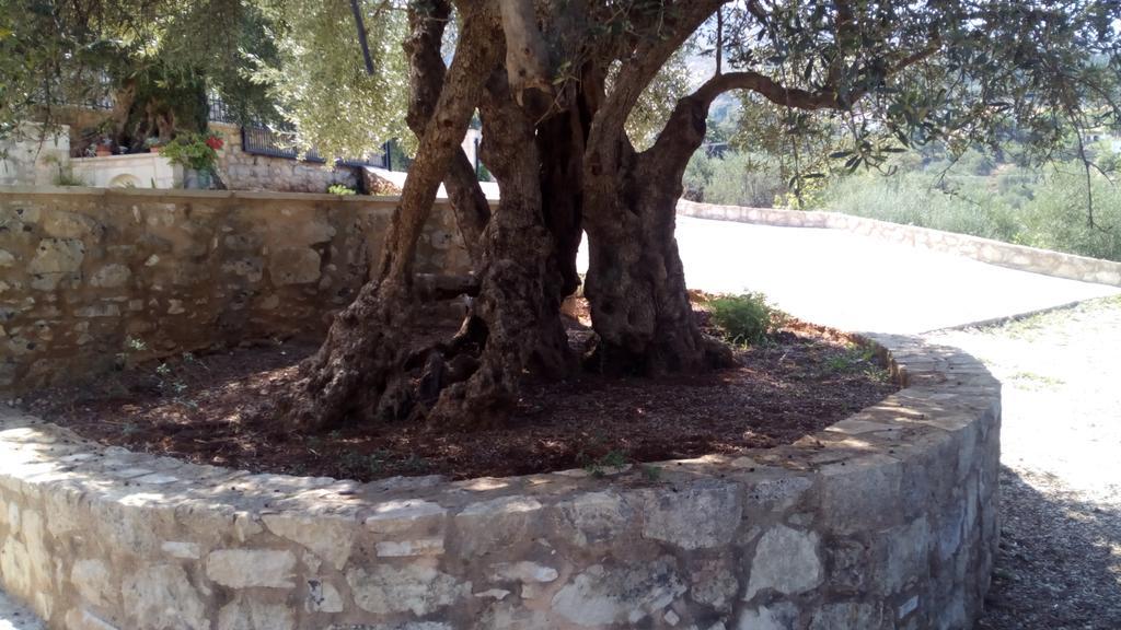 Tzitzifes Stone Mansionヴィラ エクステリア 写真