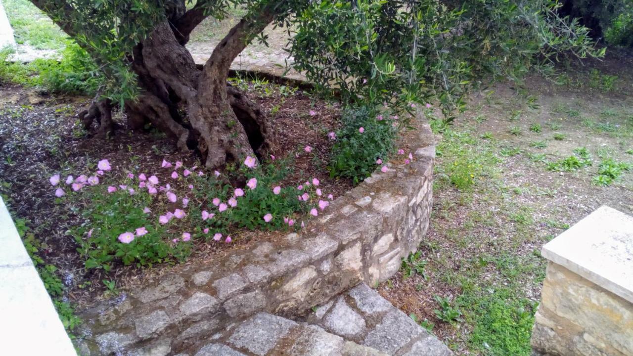 Tzitzifes Stone Mansionヴィラ エクステリア 写真