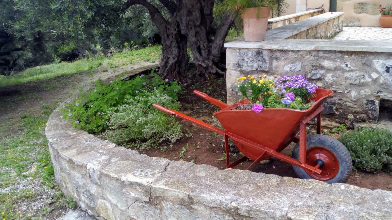 Tzitzifes Stone Mansionヴィラ エクステリア 写真